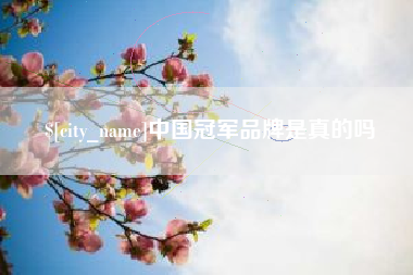 六安中国冠军品牌是真的吗