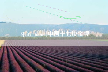 六安中国十七块金牌