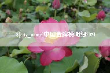 六安中国金牌榜明细2021