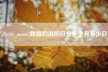 六安我国的消防日是多少月多少日