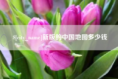 六安新版的中国地图多少钱