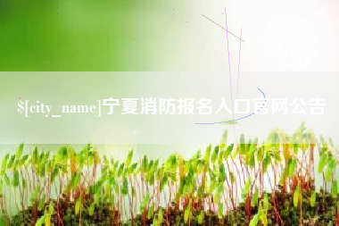 六安宁夏消防报名入口官网公告