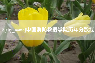 六安中国消防救援学院历年分数线