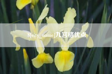 六安九宫格优点