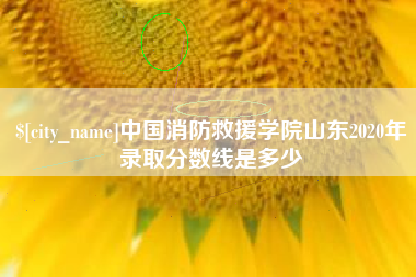 六安中国消防救援学院山东2020年录取分数线是多少