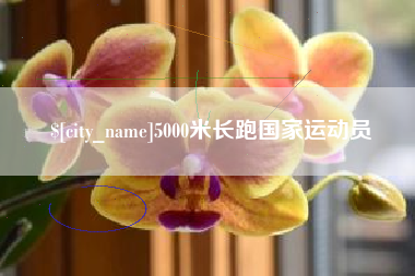 六安5000米长跑国家运动员