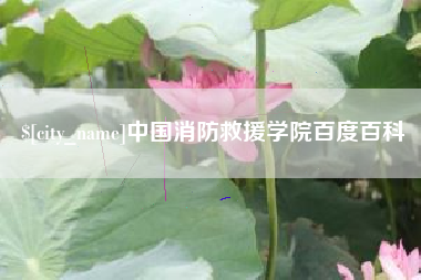 六安中国消防救援学院百度百科