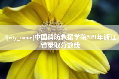 六安中国消防救援学院2021年浙江省录取分数线
