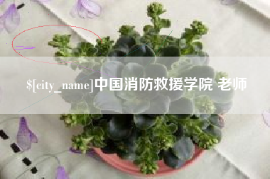 六安中国消防救援学院 老师