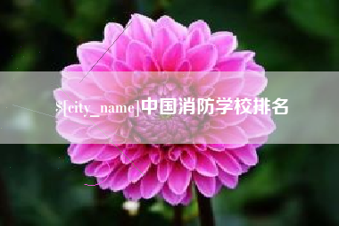六安中国消防学校排名