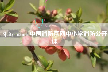 六安中国消防官网中小学消防公开课