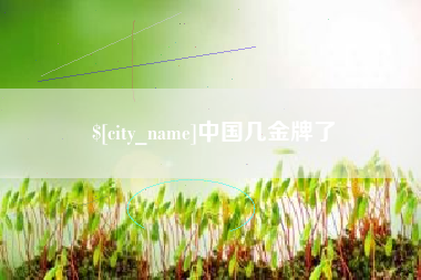 六安中国几金牌了