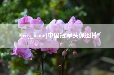 六安中国冠军头像图片