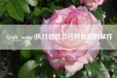 六安执行信息公开网查到的案件
