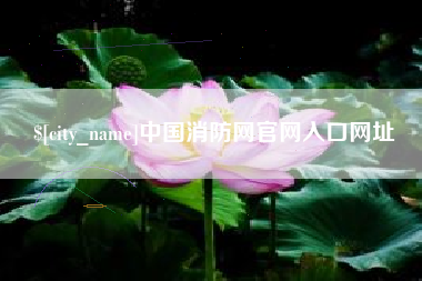六安中国消防网官网入口网址