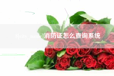 六安消防证怎么查询系统