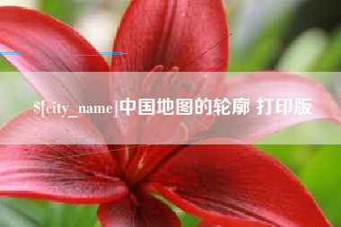 六安中国地图的轮廓 打印版