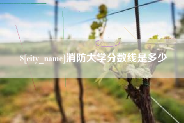 六安消防大学分数线是多少