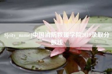 六安中国消防救援学院2019录取分数线