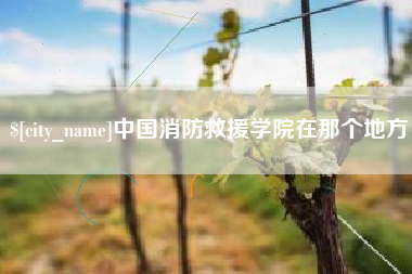 六安中国消防救援学院在那个地方