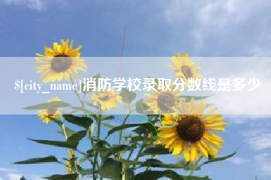 六安消防学校录取分数线是多少