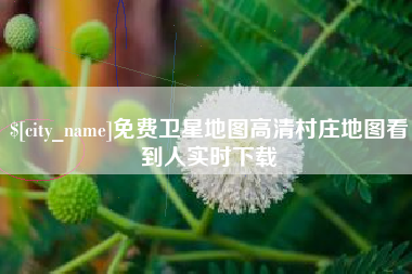 六安免费卫星地图高清村庄地图看到人实时下载