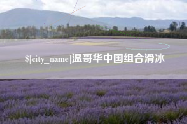 六安温哥华中国组合滑冰
