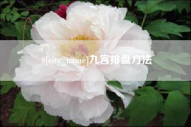 六安九宫排盘方法