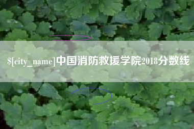 六安中国消防救援学院2018分数线