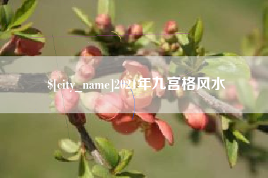 六安2021年九宫格风水