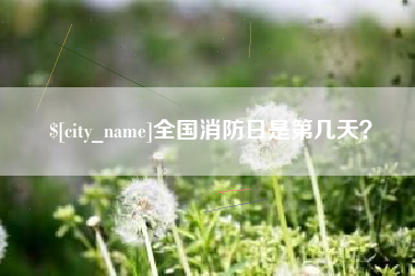 六安全国消防日是第几天？