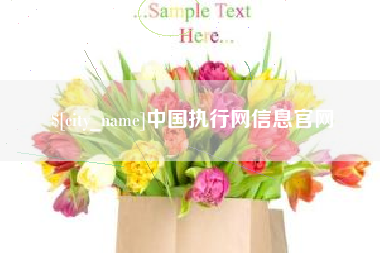 六安中国执行网信息官网
