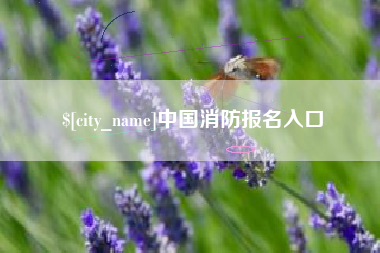六安中国消防报名入口