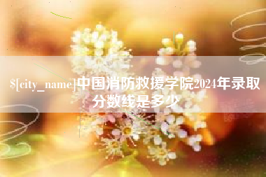 六安中国消防救援学院2024年录取分数线是多少