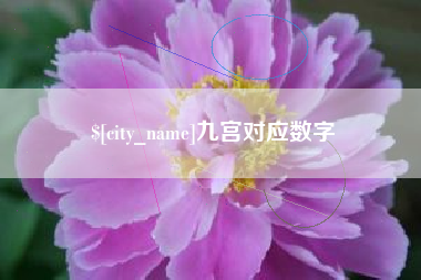 六安九宫对应数字