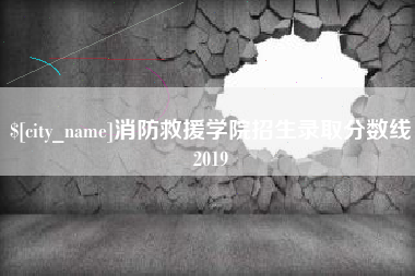 六安消防救援学院招生录取分数线2019