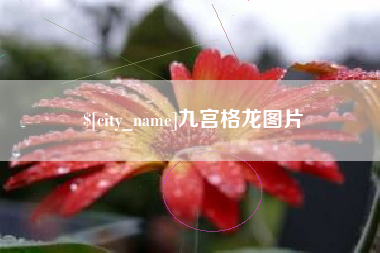 六安九宫格龙图片