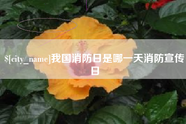 六安我国消防日是哪一天消防宣传日
