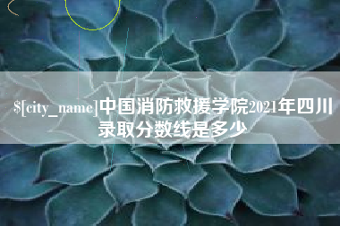 六安中国消防救援学院2021年四川录取分数线是多少