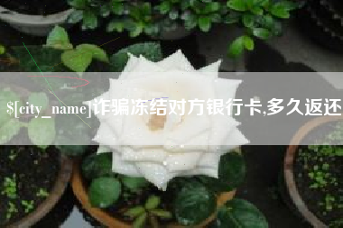 六安诈骗冻结对方银行卡,多久返还
