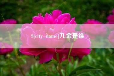 六安九金是谁