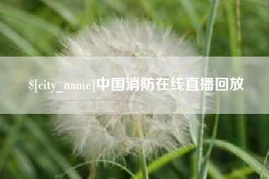 六安中国消防在线直播回放