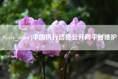 六安中国执行信息公开网平台维护