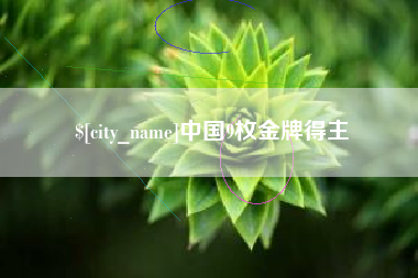 六安中国9枚金牌得主