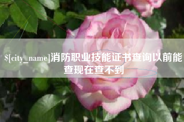 六安消防职业技能证书查询以前能查现在查不到