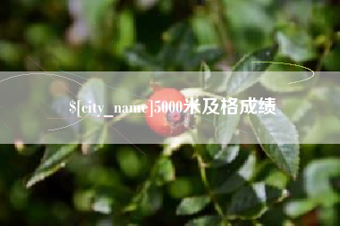 六安5000米及格成绩