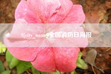 六安全国消防日海报