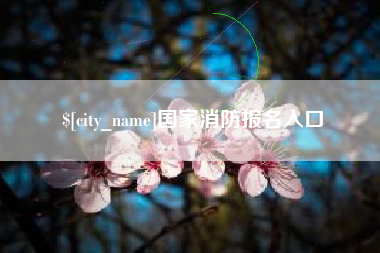 六安国家消防报名入口