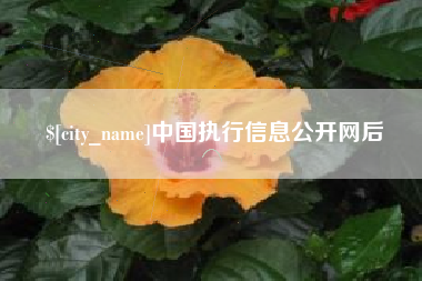 六安中国执行信息公开网后