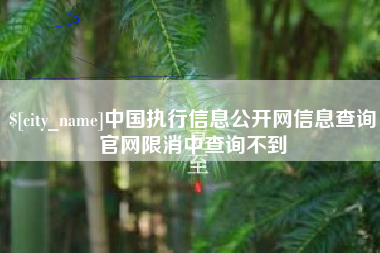 六安中国执行信息公开网信息查询官网限消中查询不到